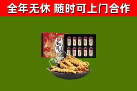 舟山回收冬虫夏草价格