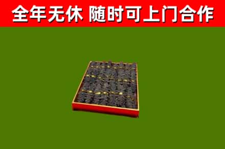 舟山回收海参